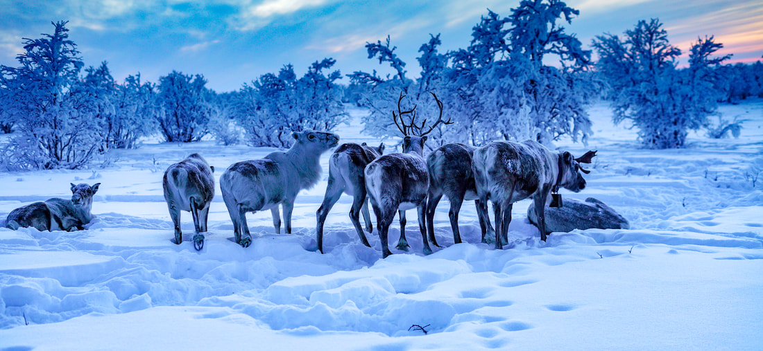 norway wintry landscape